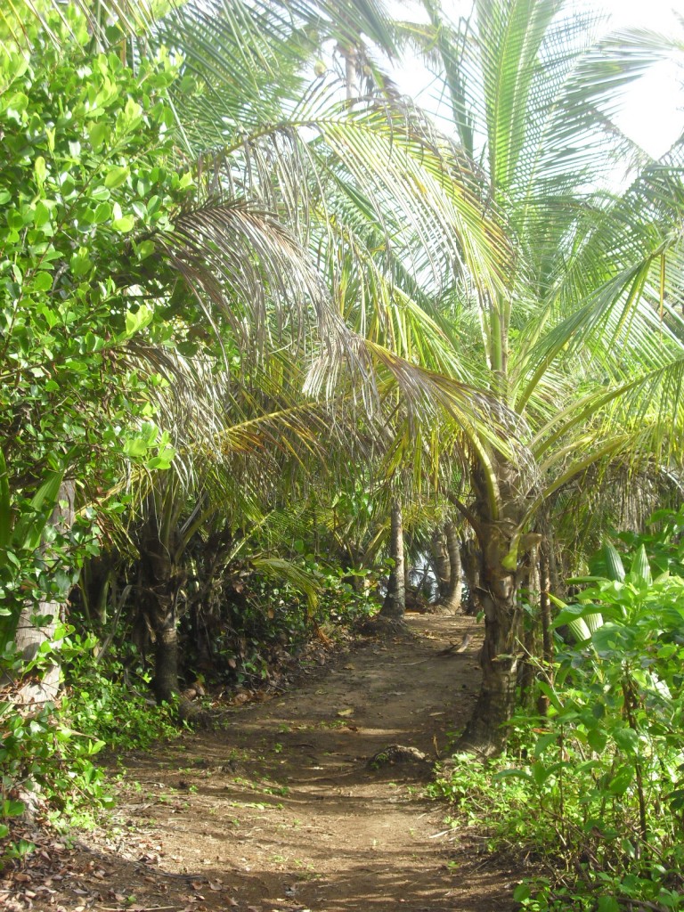 visiting Little Corn Island