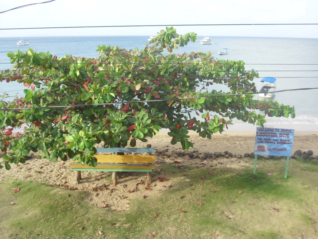 visiting Little Corn Island