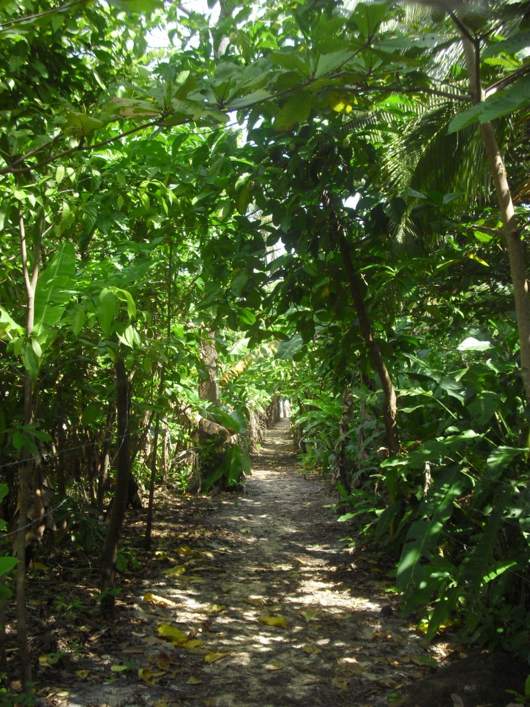 visiting Little Corn Island