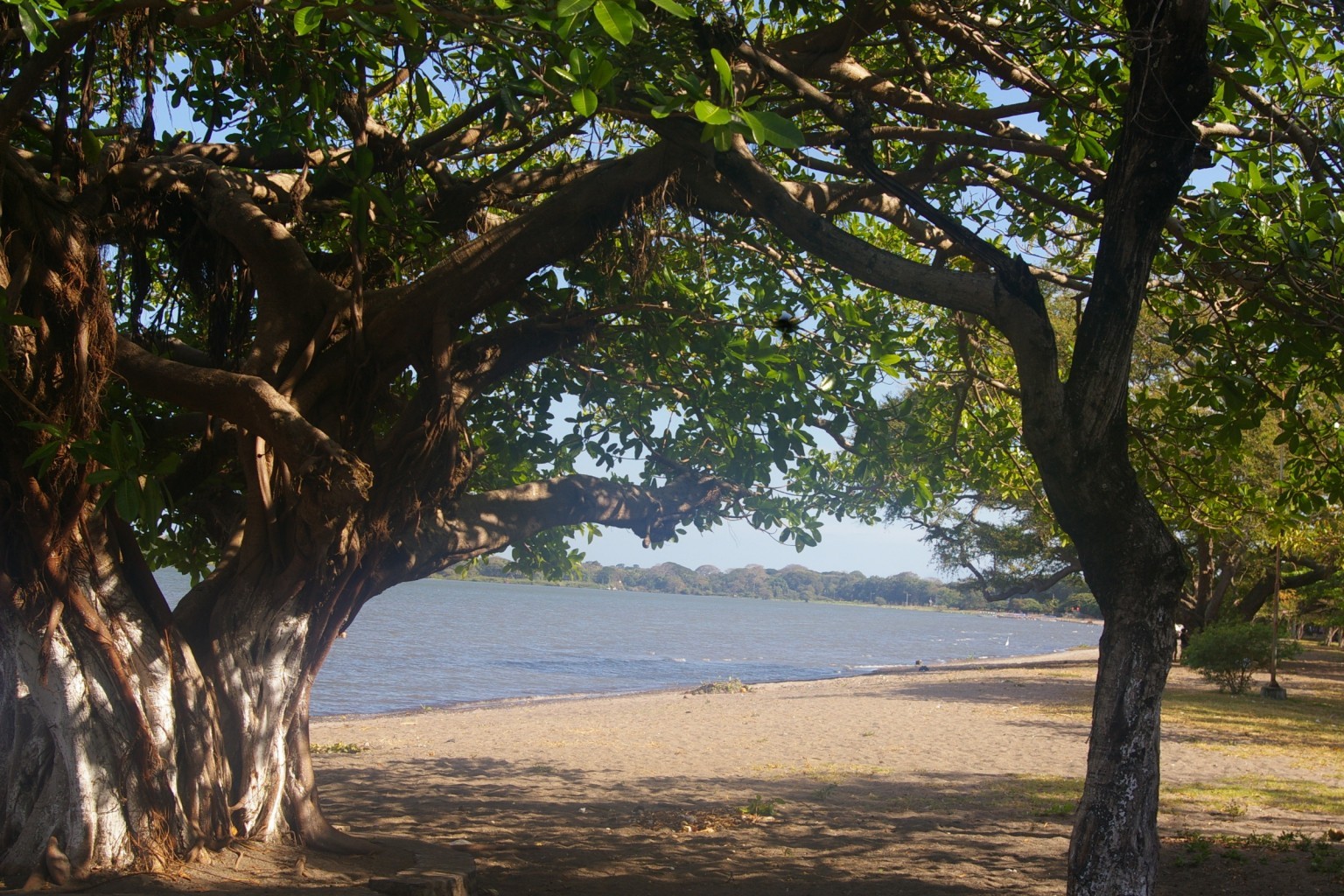 things to do in Granada, Nicaragua