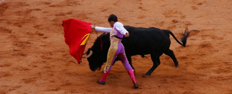what happens at a bullfight