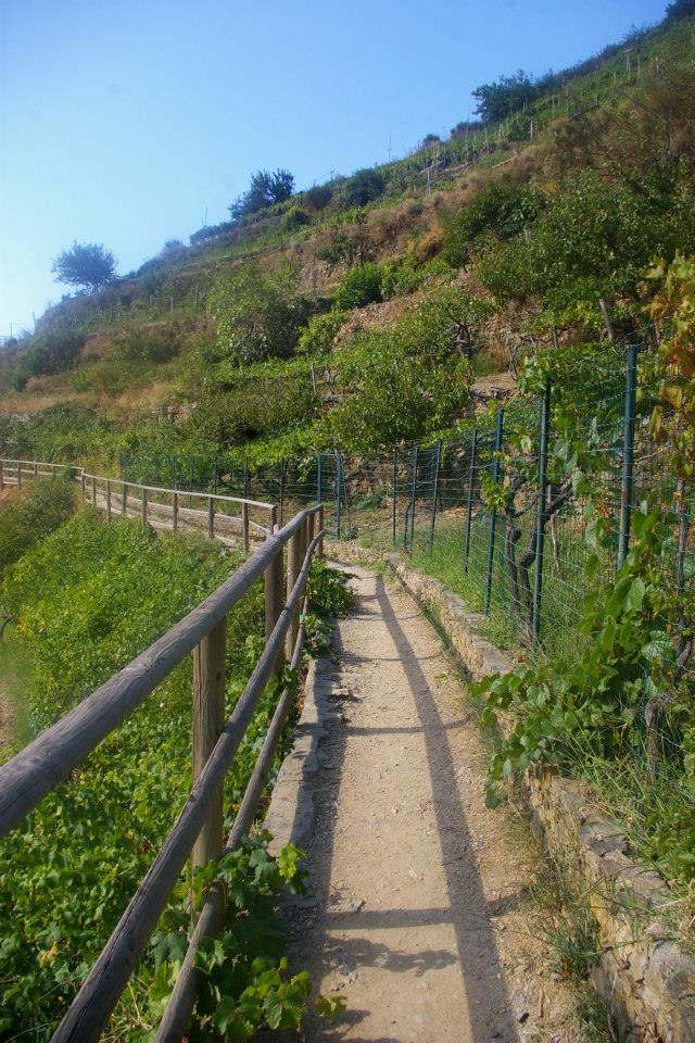 things to do in Cinque Terre
