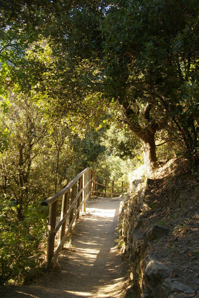 things to do in Cinque Terre