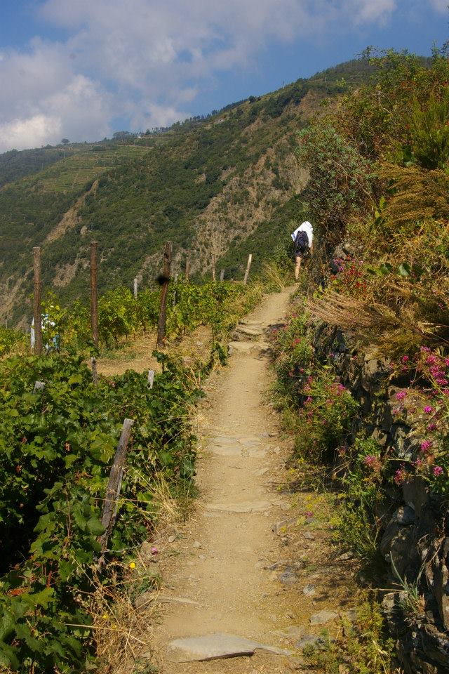 things to do in Cinque Terre