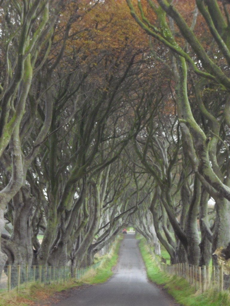 Game of Thrones tour of Northern Ireland