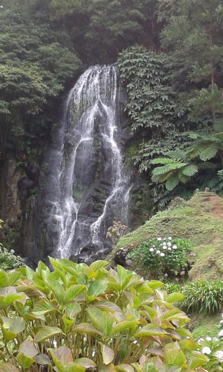 Ribeira dos Caldeiroes Sao Miguel