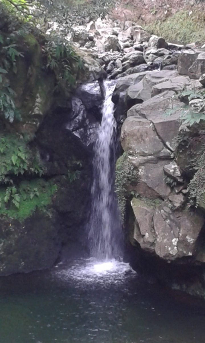 Ribeira dos Caldeiroes Sao Miguel