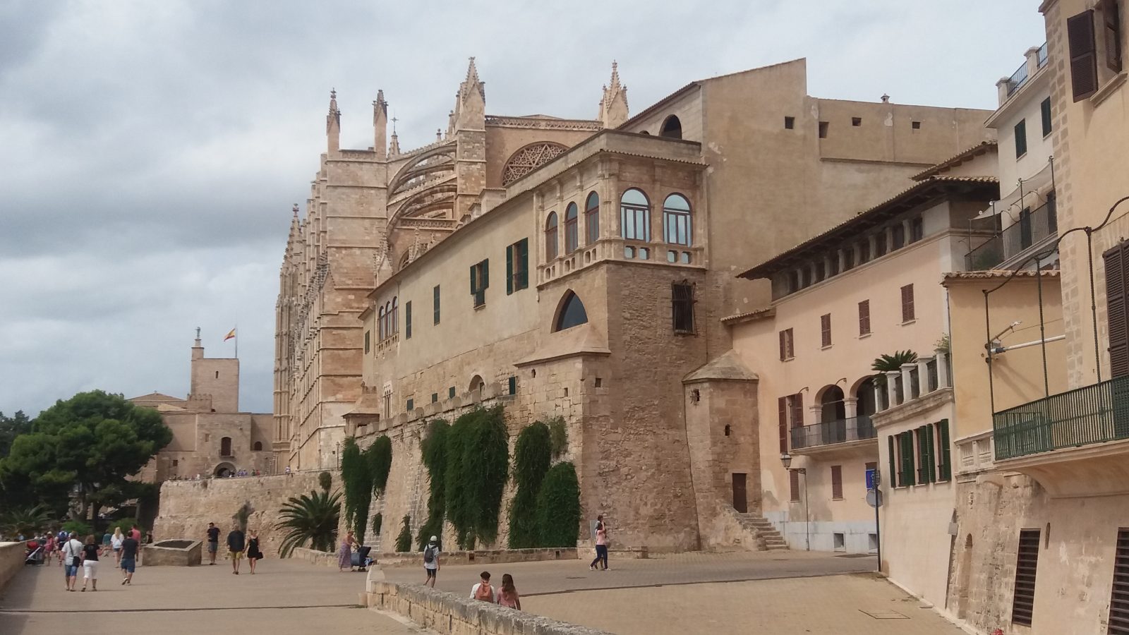 cathedral Palma de Mallorca
