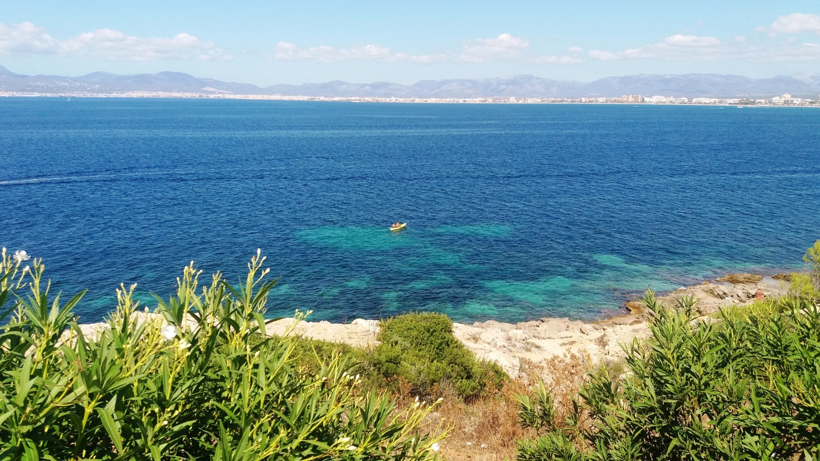 things to do in Palma de Mallorca