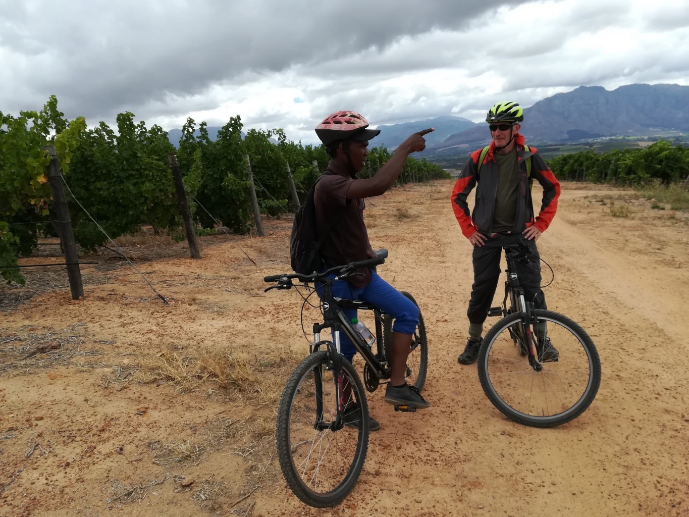 cycling tour of Stellenbosch
