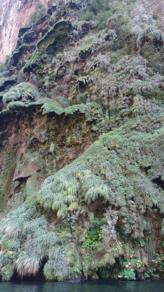 cañon del Sumidero