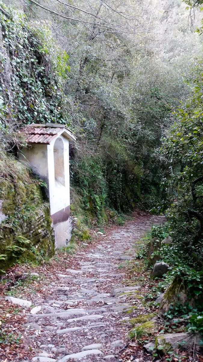 Pigna