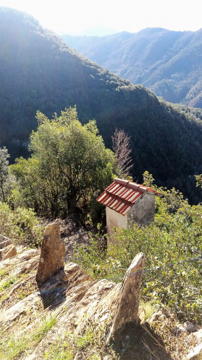 Pigna