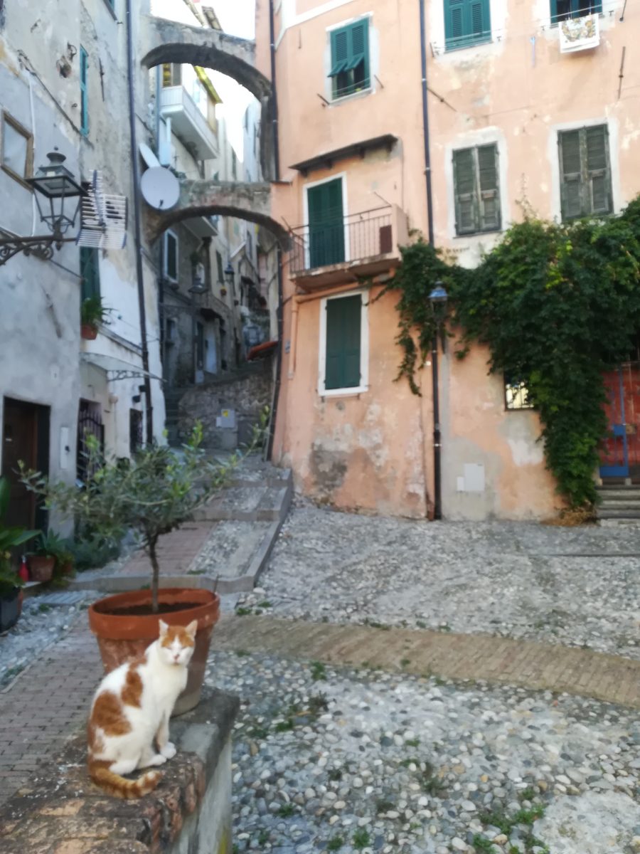 La Pigna San Remo