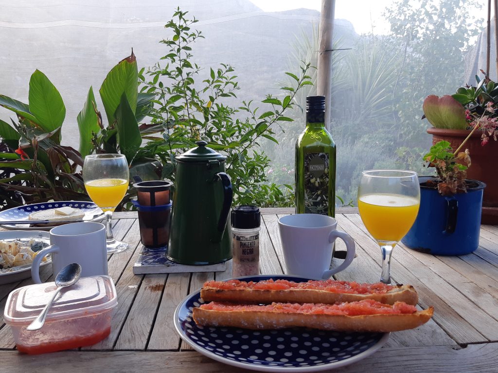 tostada con aceite y tomate