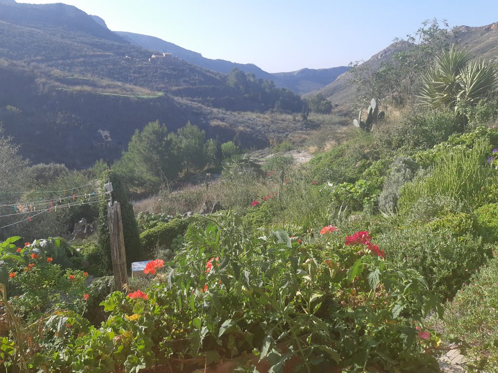 siera de la muela Spain