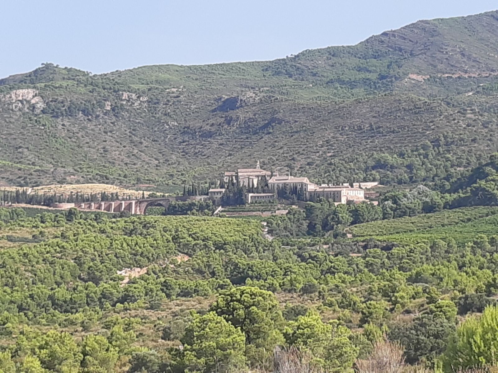 Portacoeli