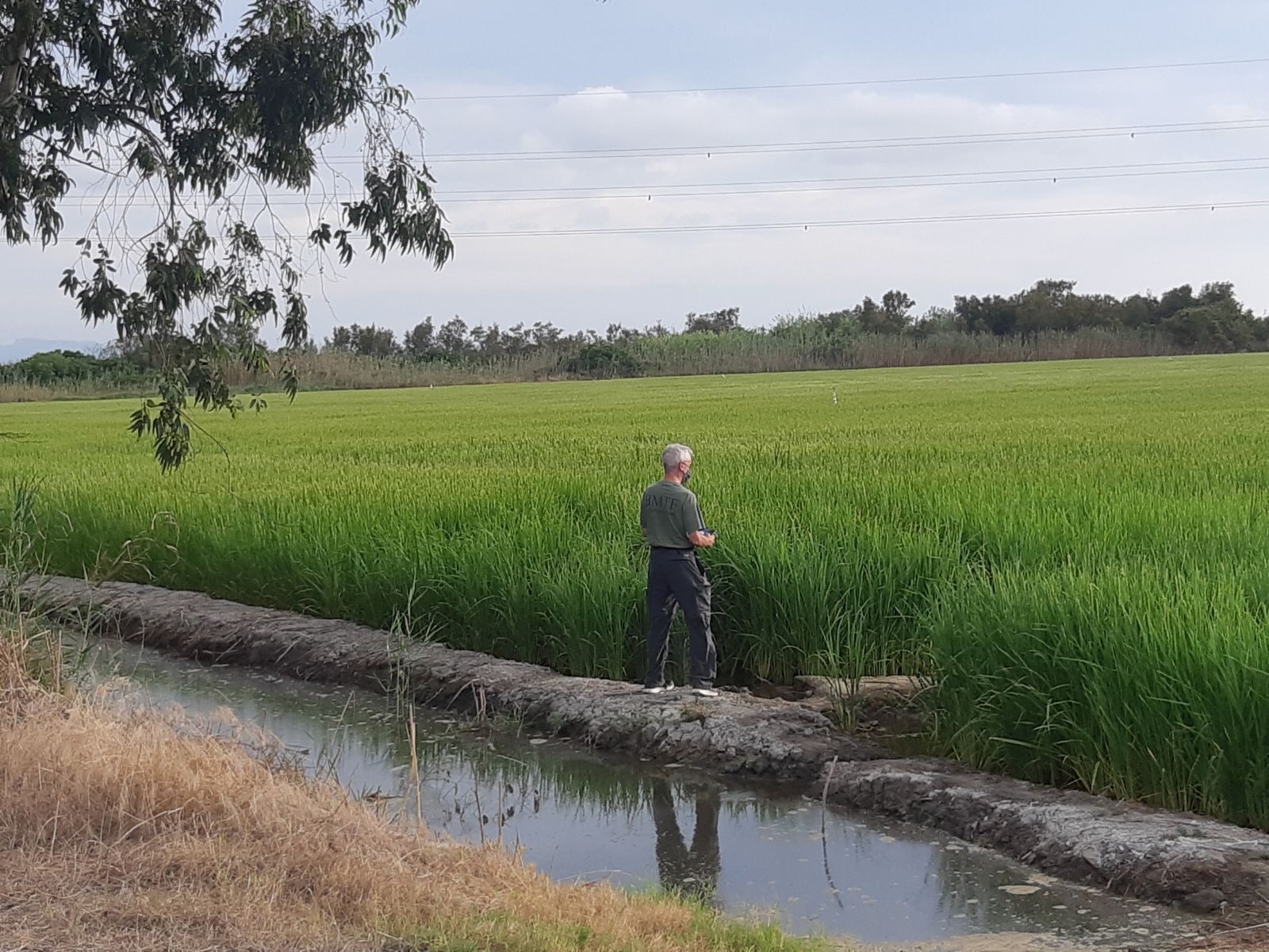 Parc l'Albufera Valencia