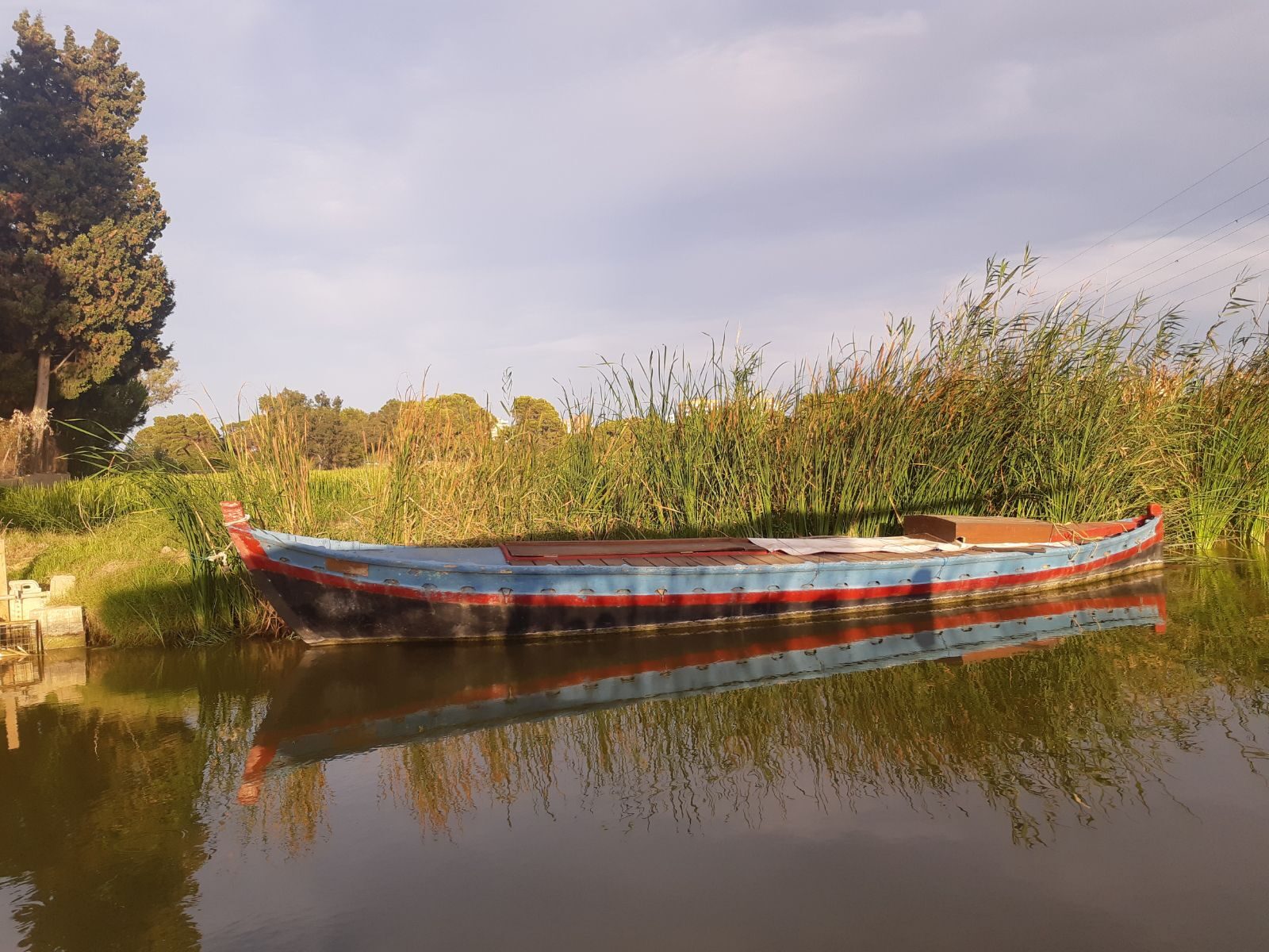 Parc l'Albufera Valencia