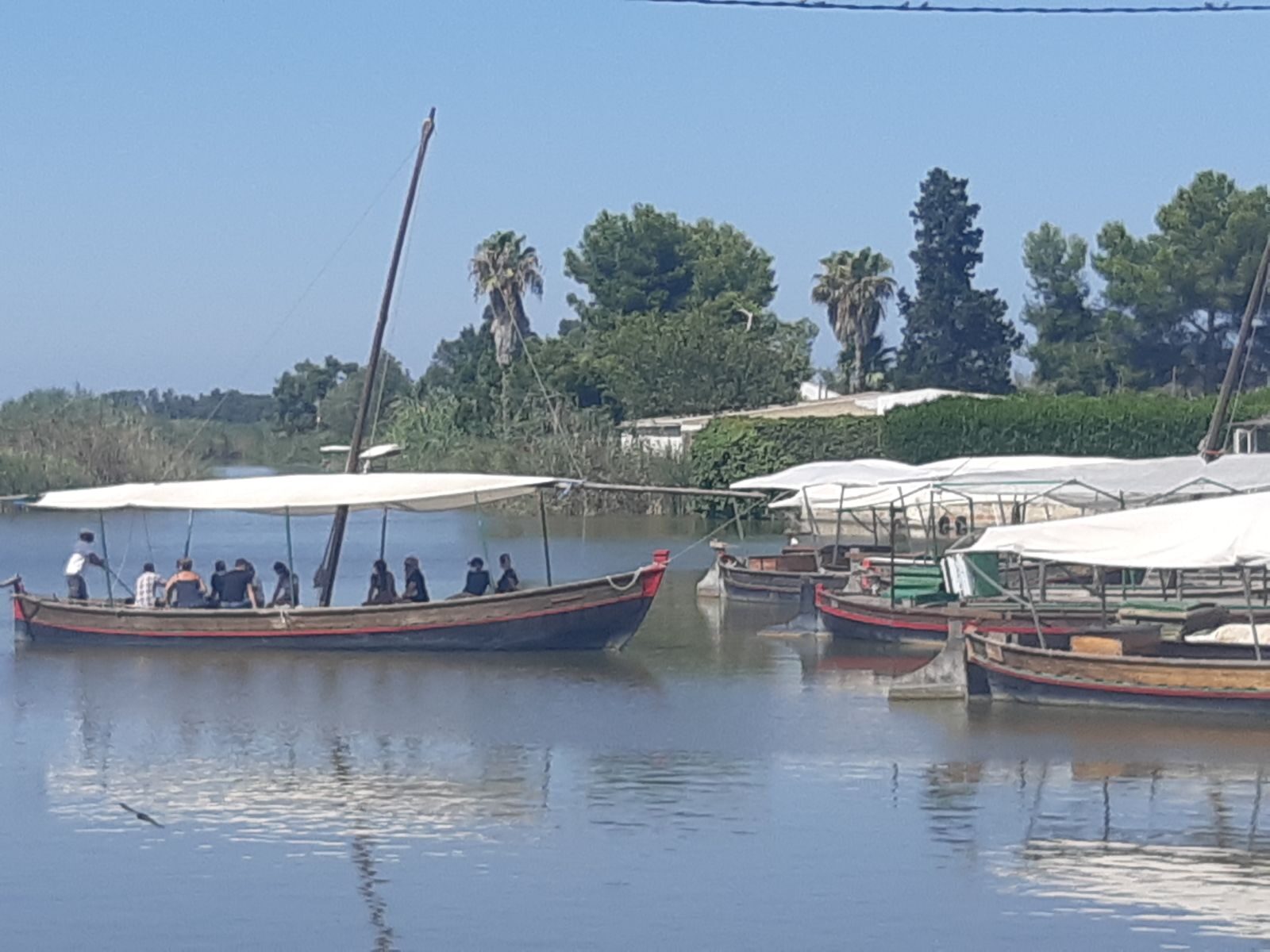 El Palmar Valencia