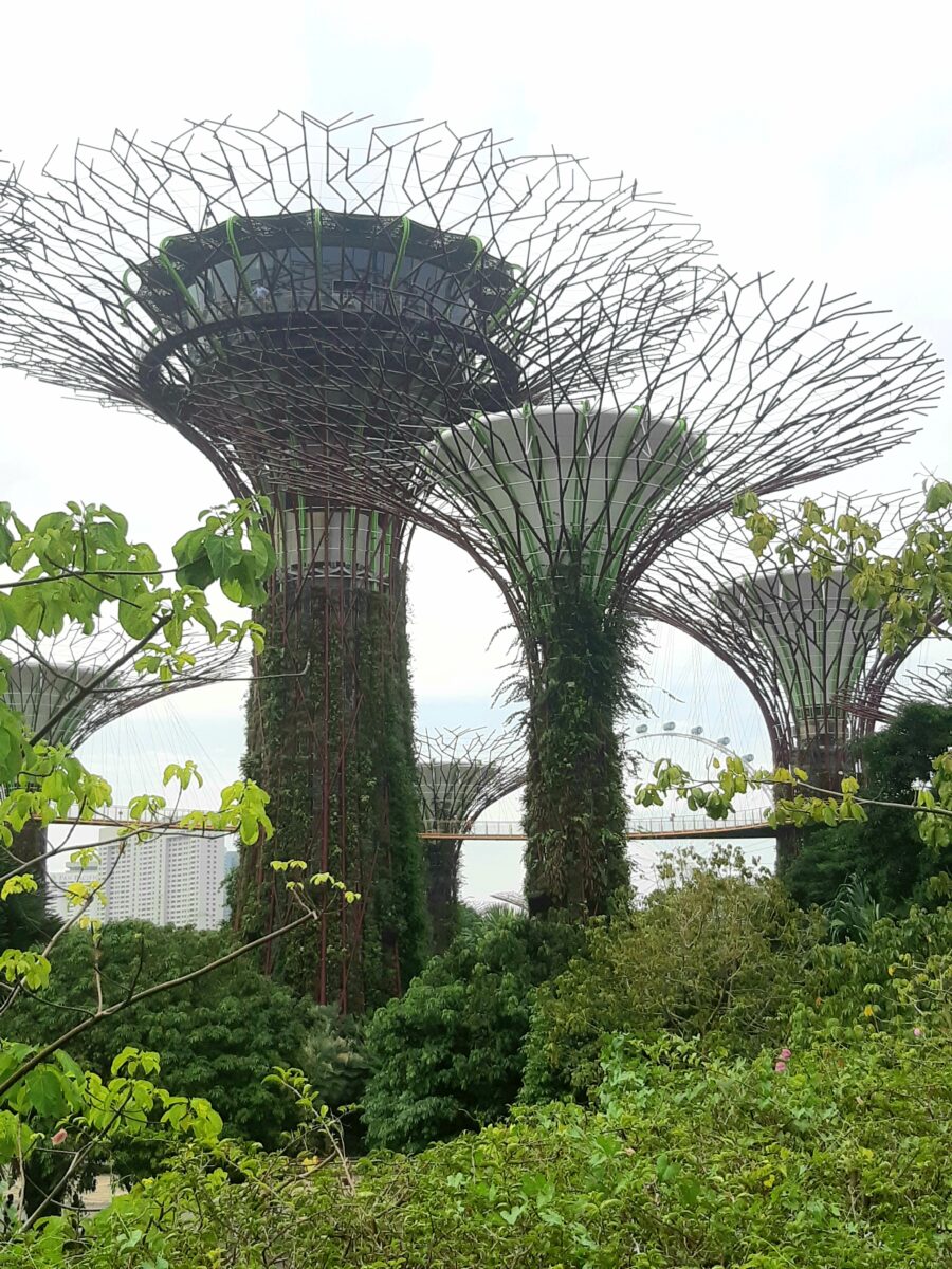 Gardens By The Bay Supertree Grove