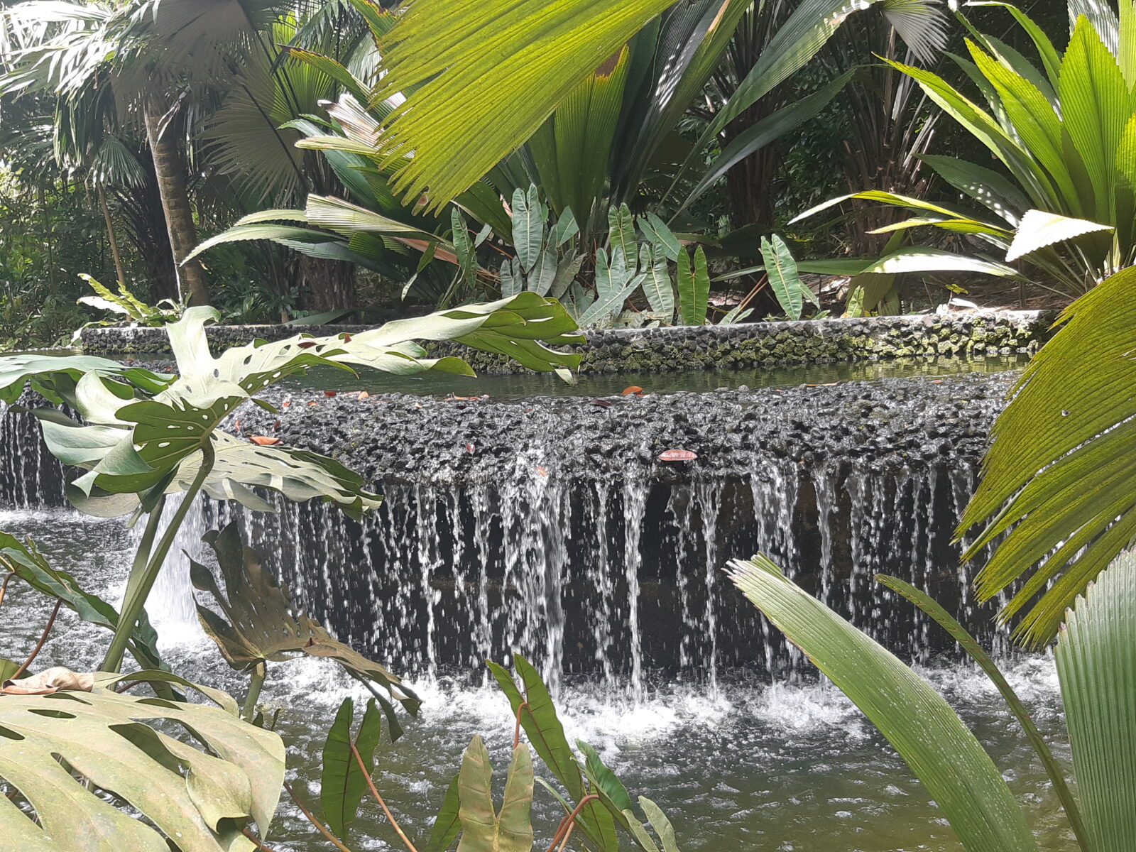 Botanic Gardens Singapore